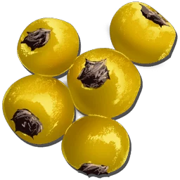 Amar Meyvesi