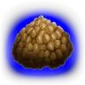 Kibble (Carbonemys Egg)