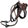 Montura de Rinoceronte lanudo