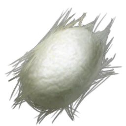 Seide