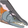 Sabertooth Salmon 'ARK: The Animated Series' Costume