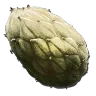 Recolección de Semilla de planta tipo Z