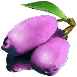 Magen Meyvesi