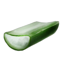 Kaktussaft