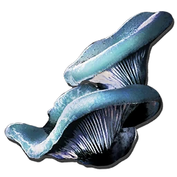 Su Mantarı