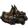 Hoguera