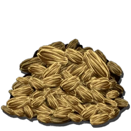 Karottensamen
