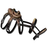 Montura de Yutyrannus