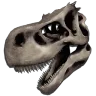 Rex Bone Costume