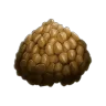 Kibble (Araneo Egg)