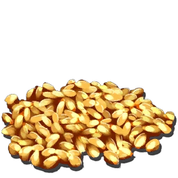 Mısır Tohumu
