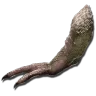 Tyrannosaurus-Arm