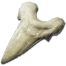 Diente de Megalodon