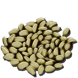 Limon Tohumu