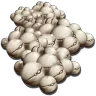 Récolte de Graine de Stimberry