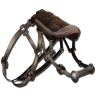 Selle de Mosasaure