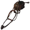 Pteranodon zadel