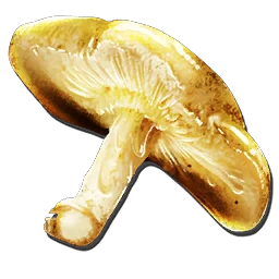 金色蘑菇