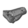 Alpha Raptor Swim Bottom