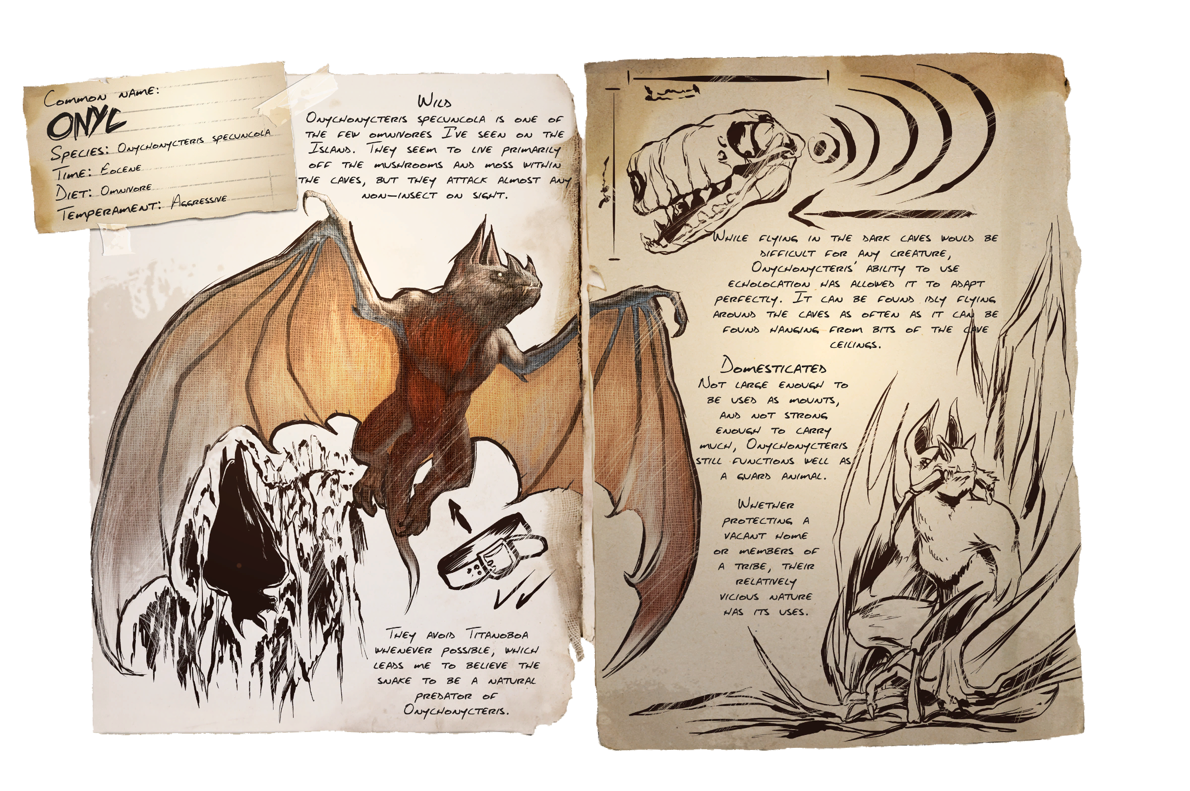 Onyc Dossier #1