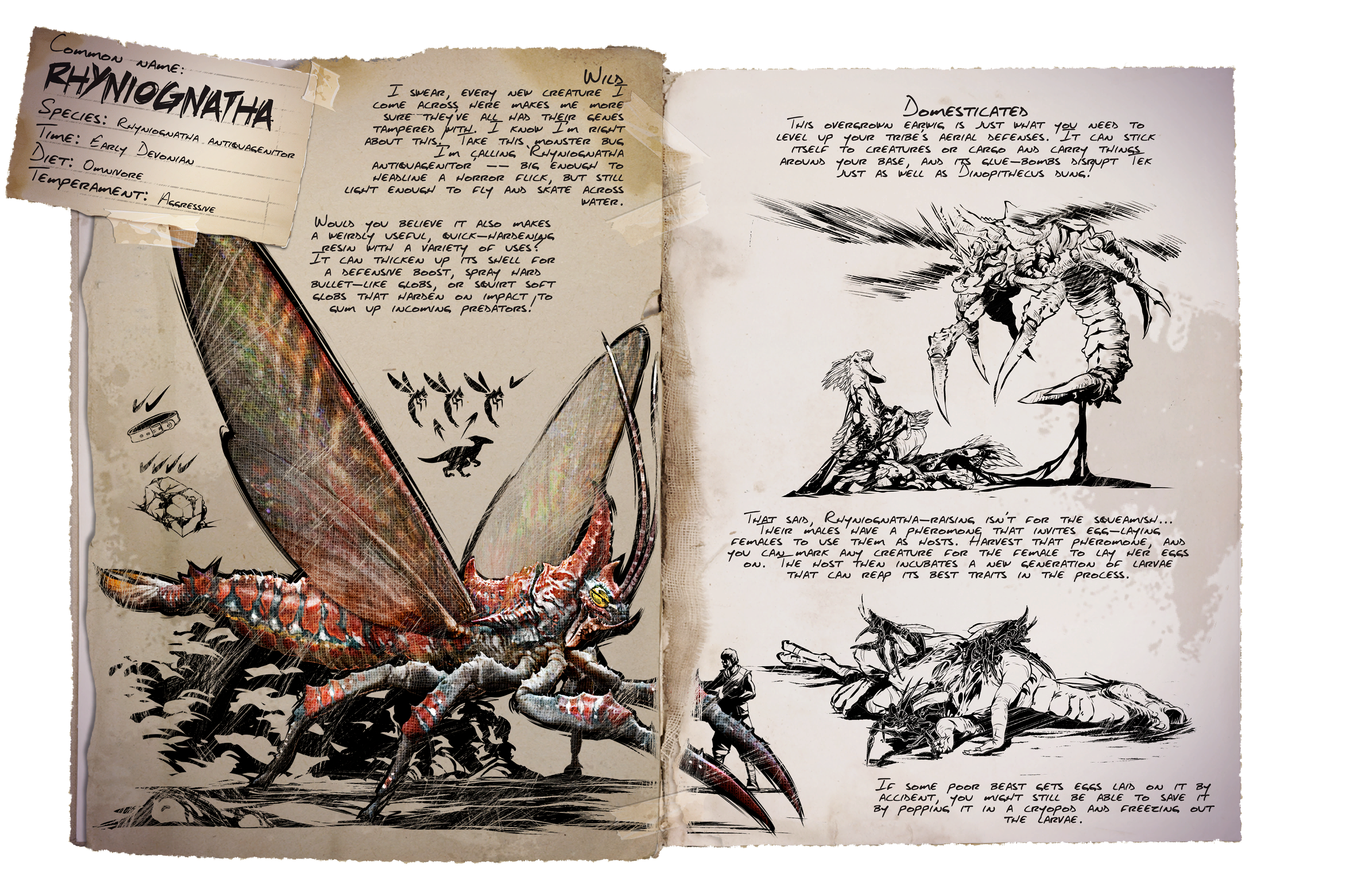 Rhyniognatha Dossier