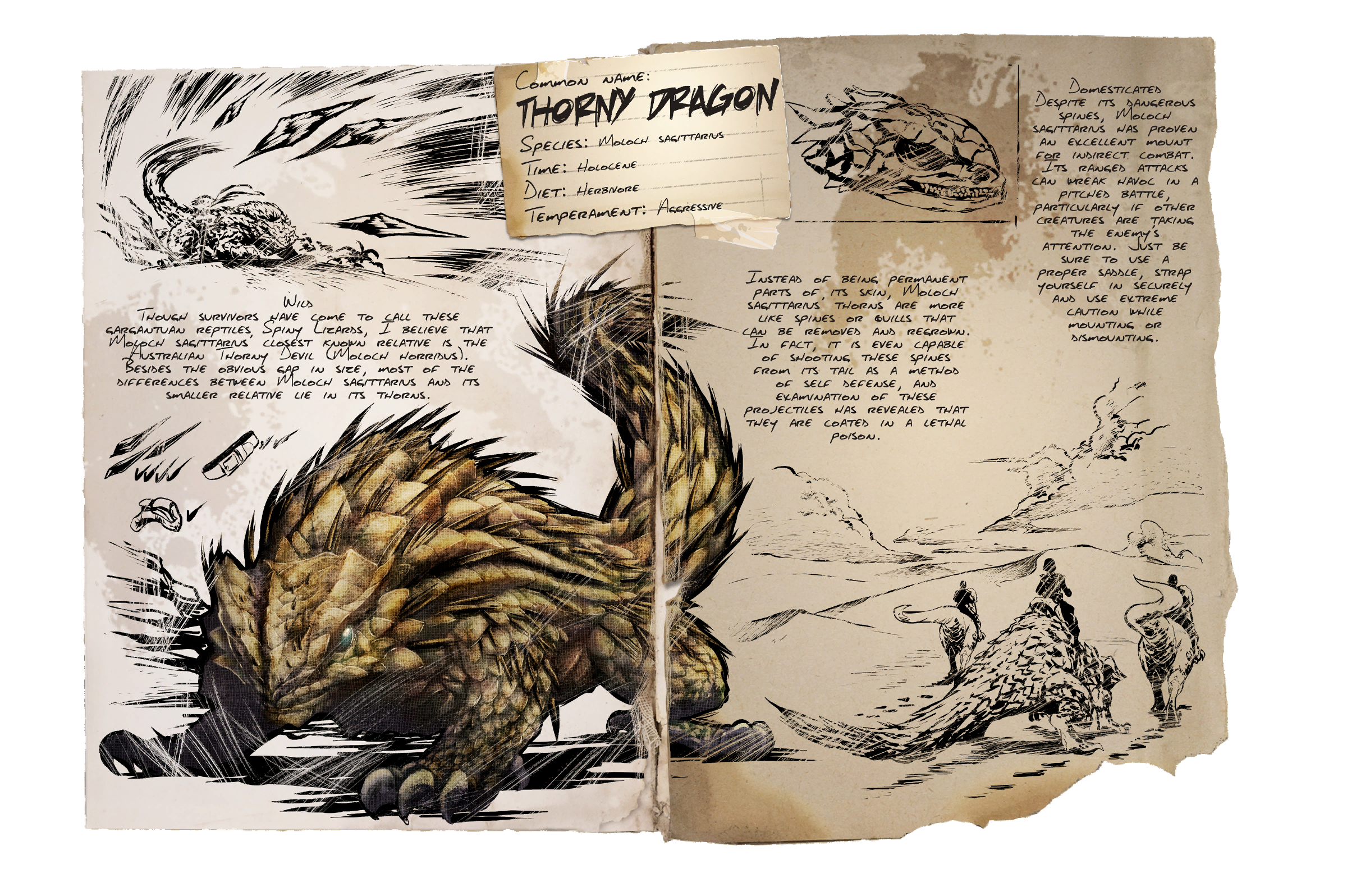 Thorny Dragon Dossier