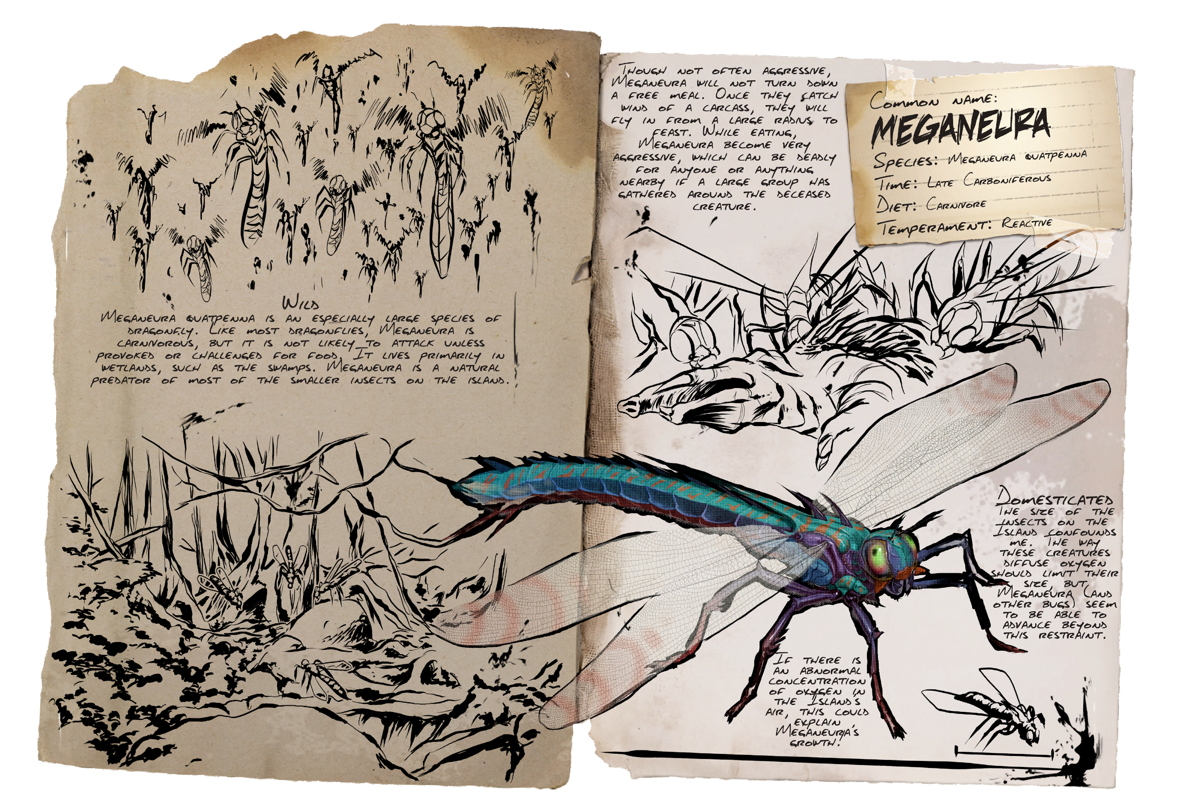 Meganeura Dossier