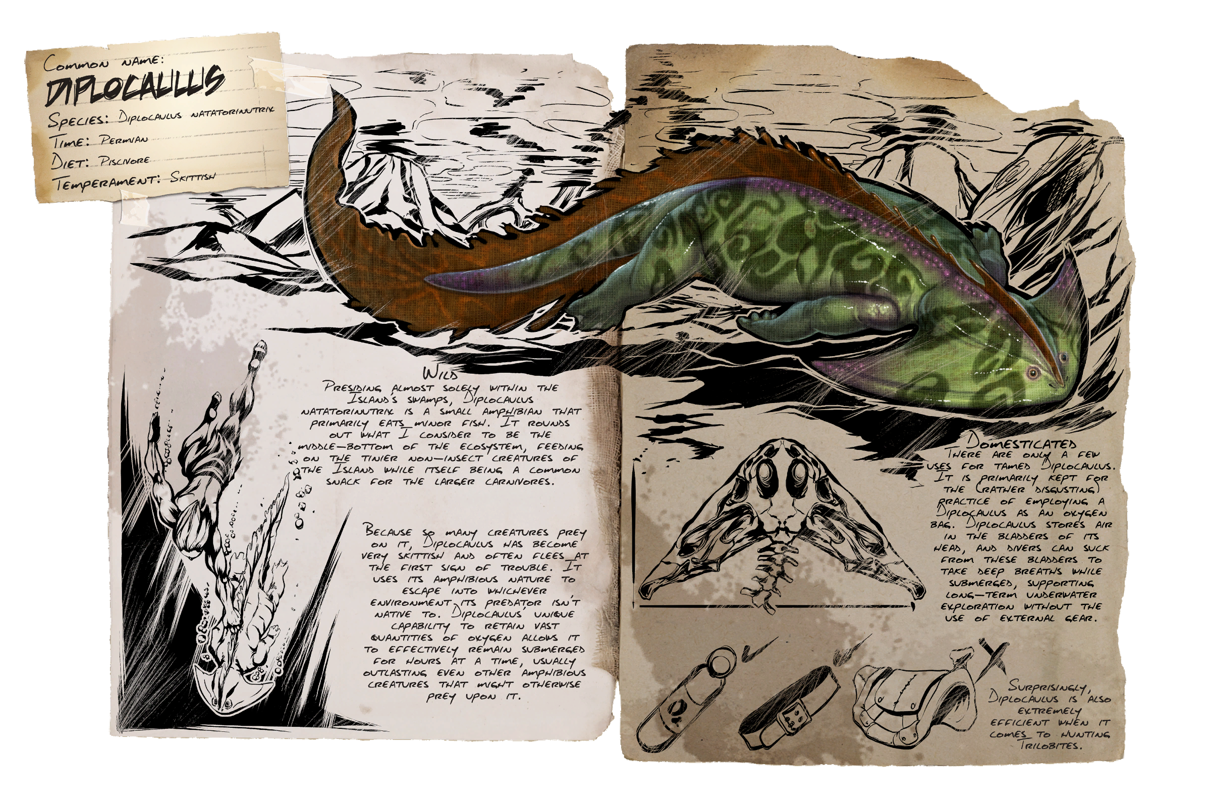 Diplocaulus Dossier