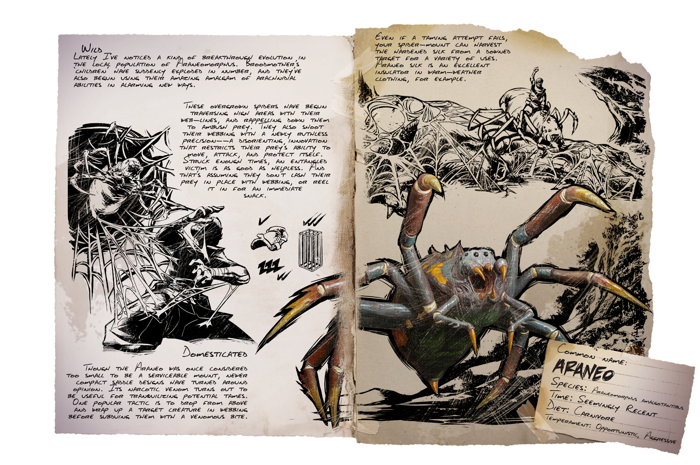 Aranaeo Dossier