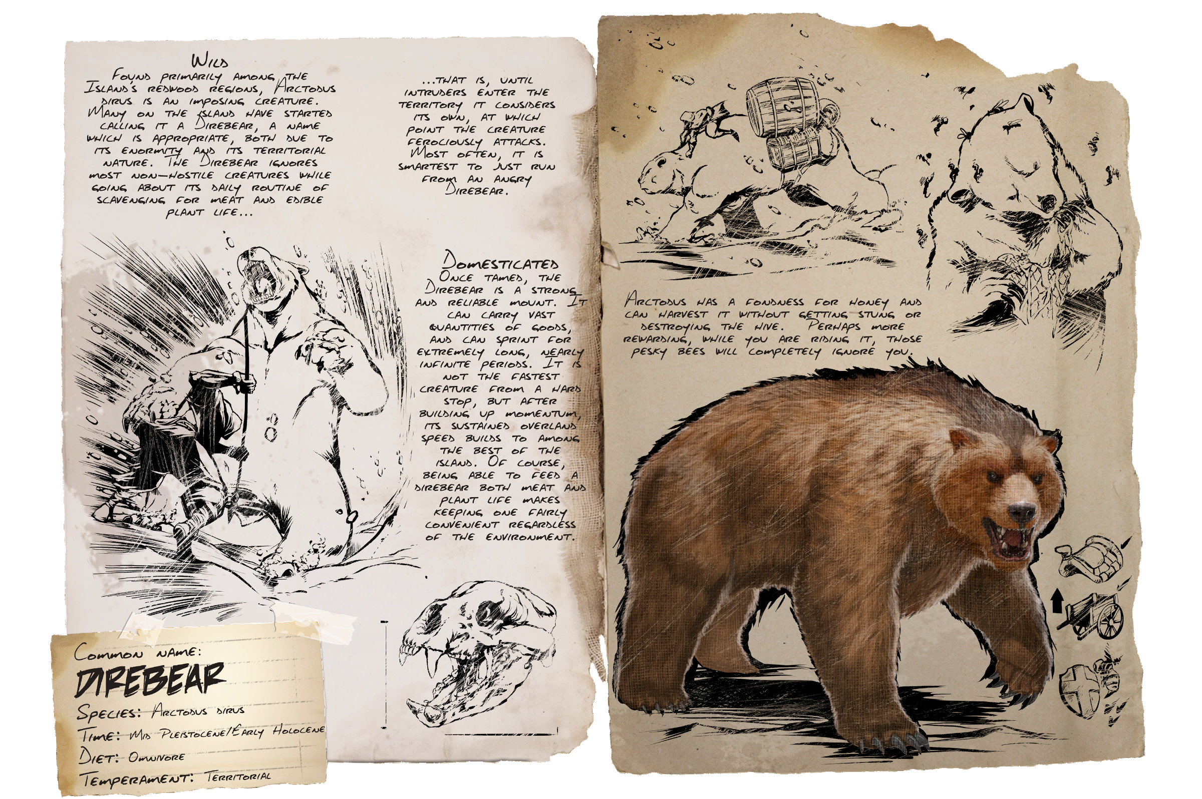 Direbear Dossier
