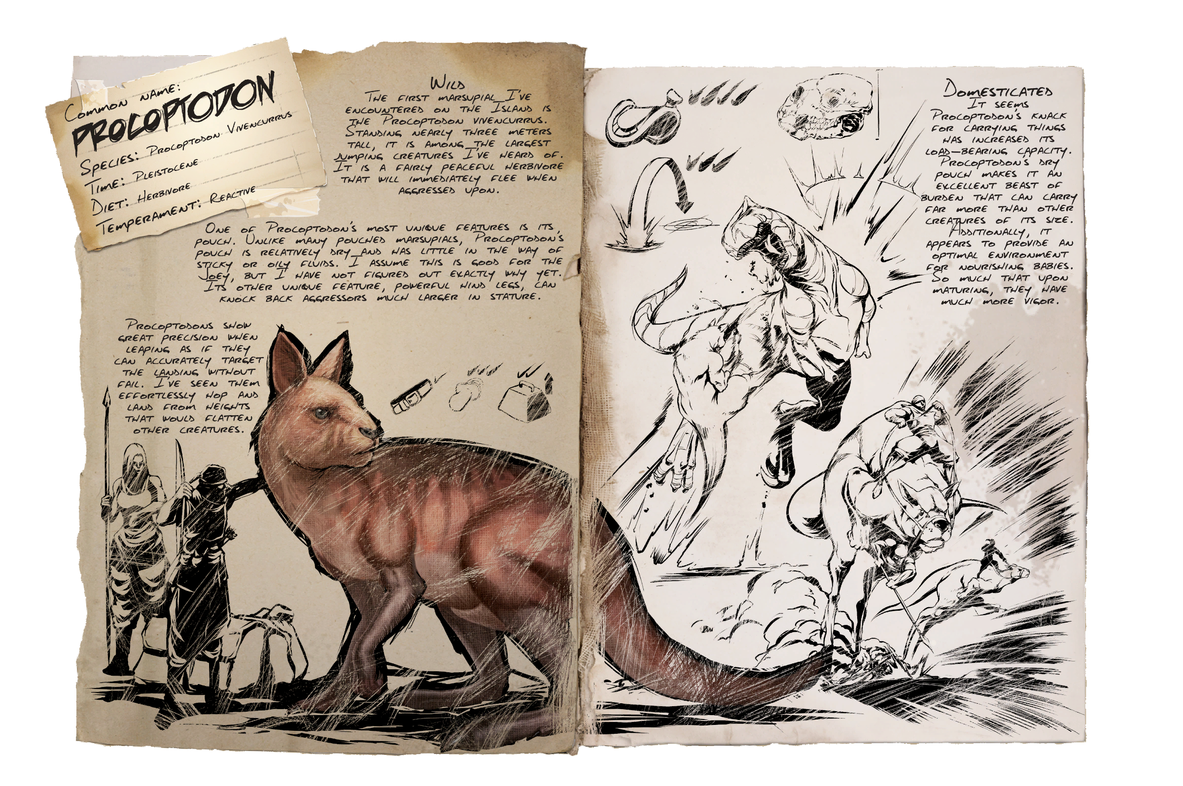 Procoptodon Dossier