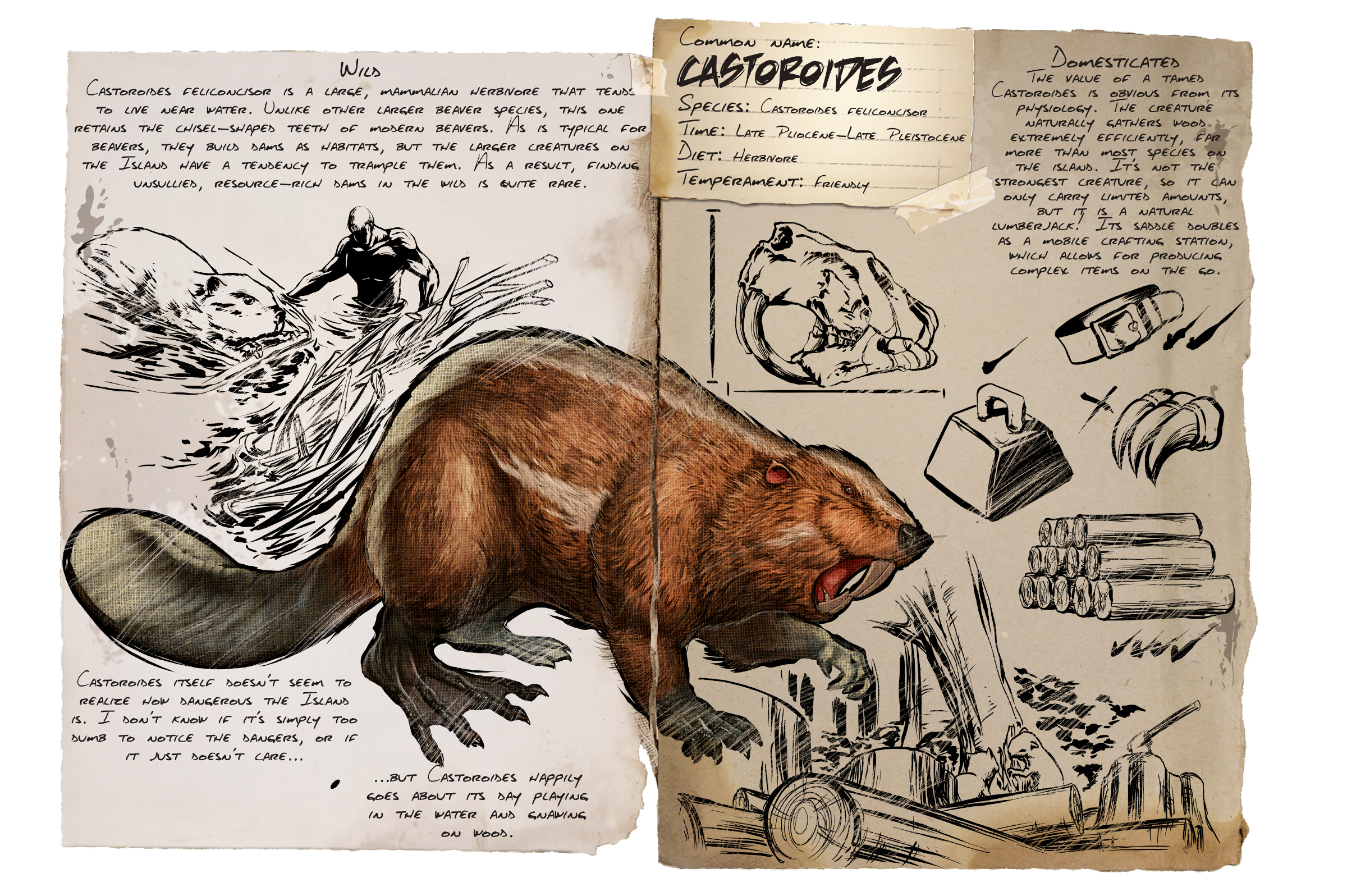 Castoroides Dossier