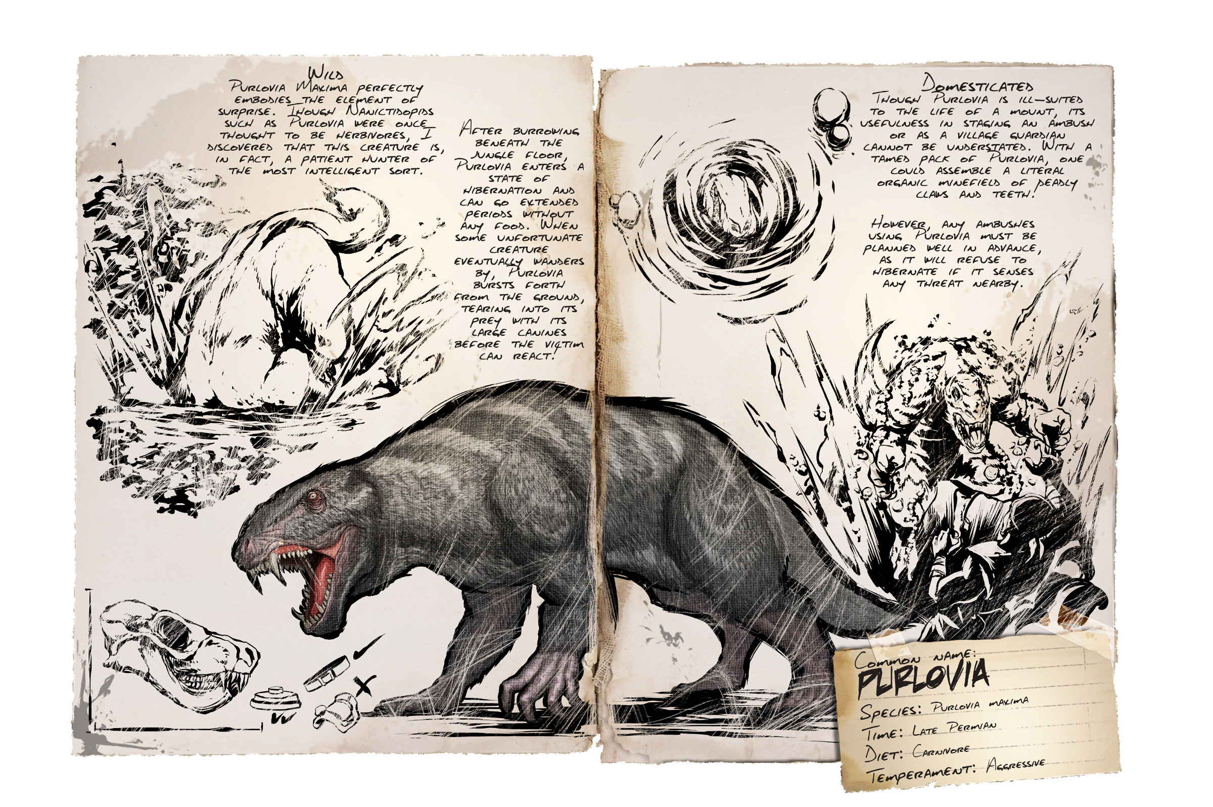 Purlovia Dossier