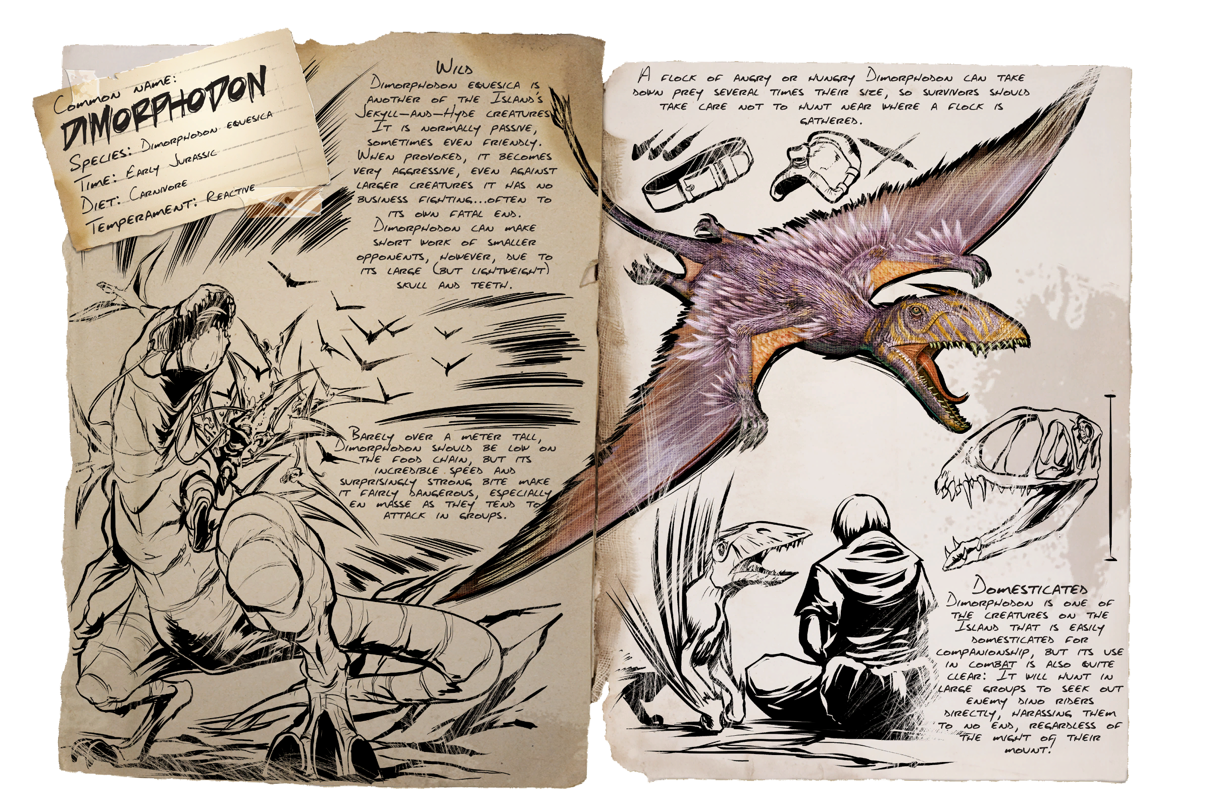 Dimorphodon Dossier