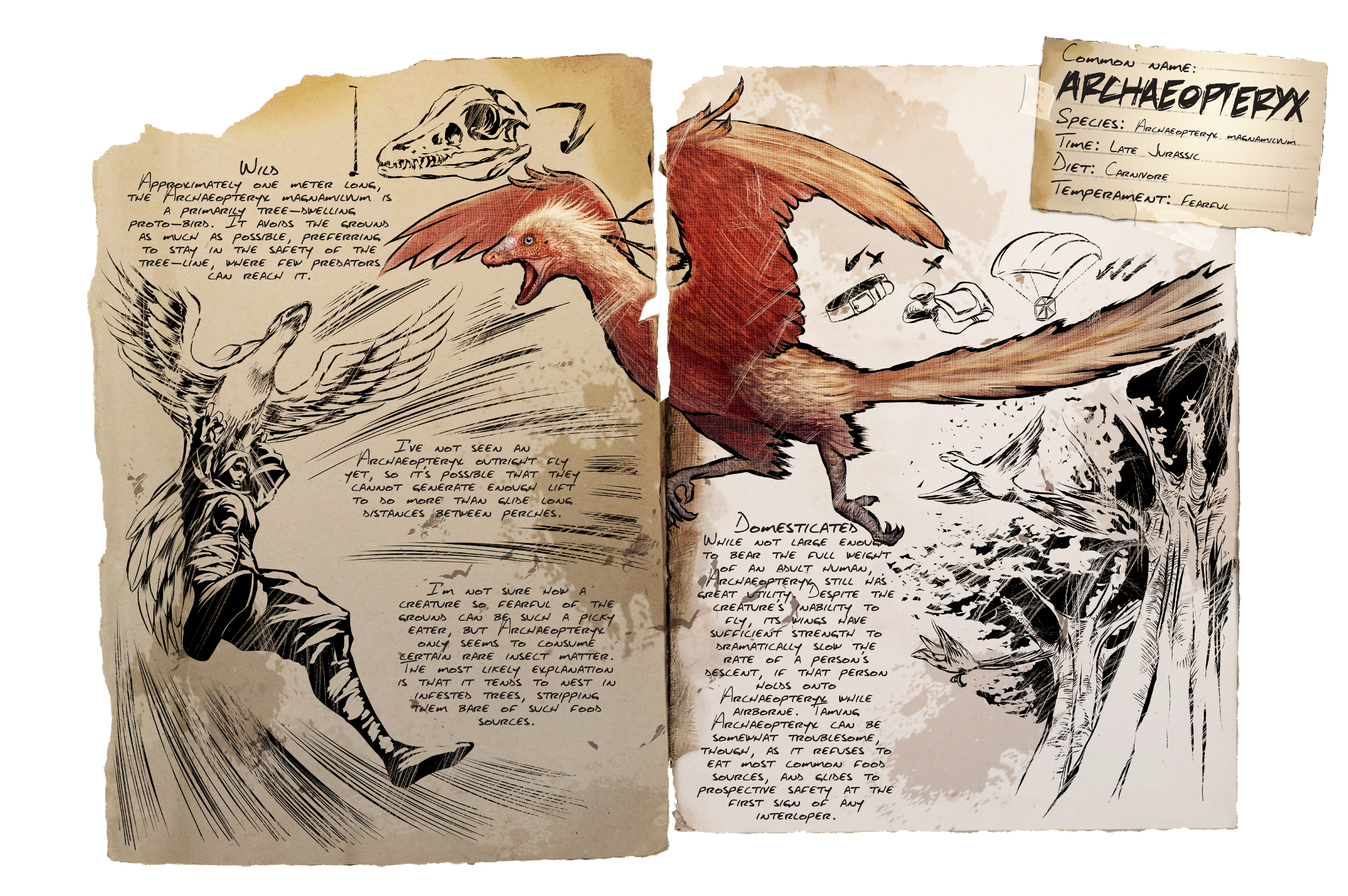 Archaeopteryx Dossier
