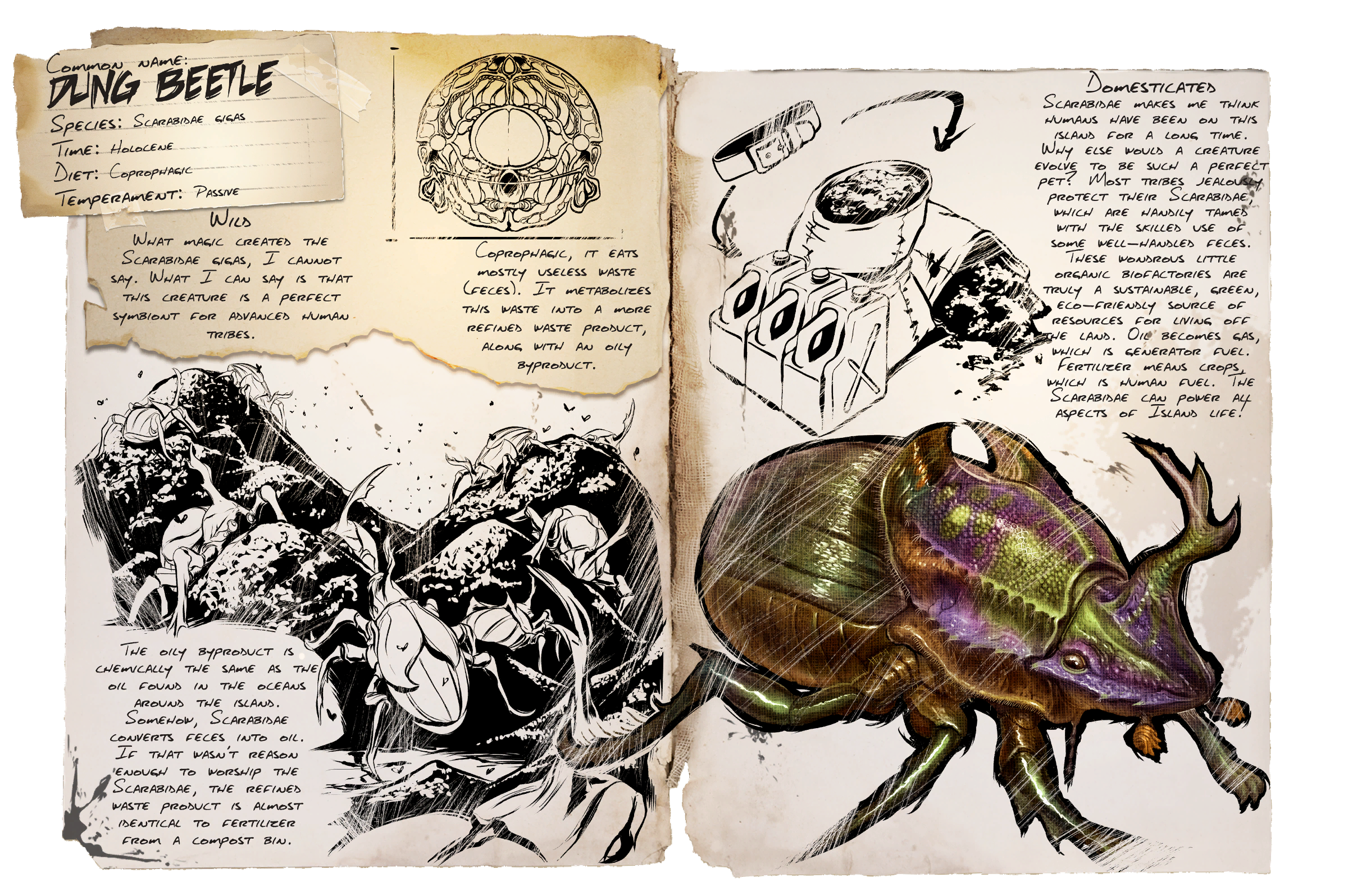Dung Beetle Dossier
