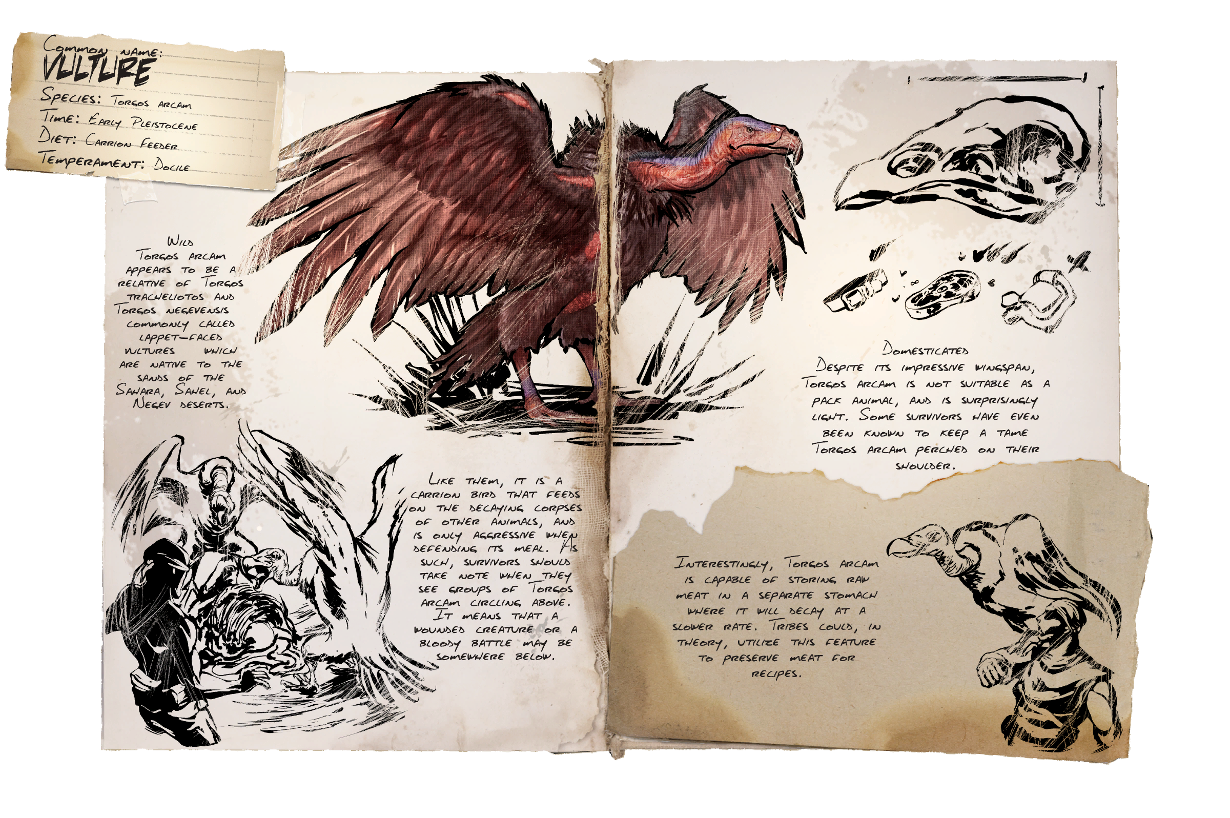 Vulture Dossier
