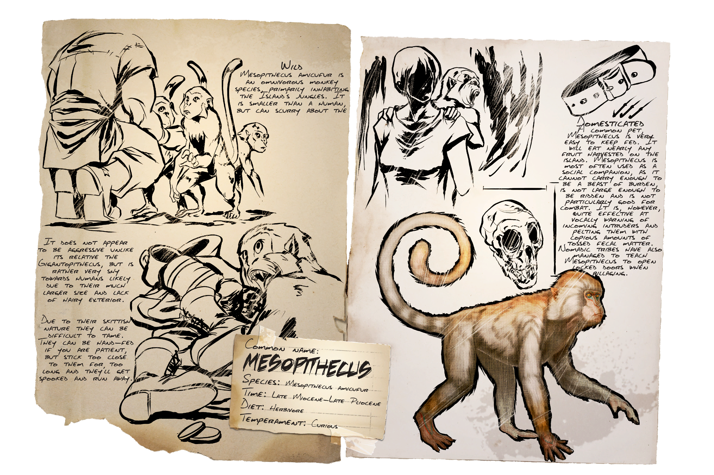 Mesopithecus Dossier
