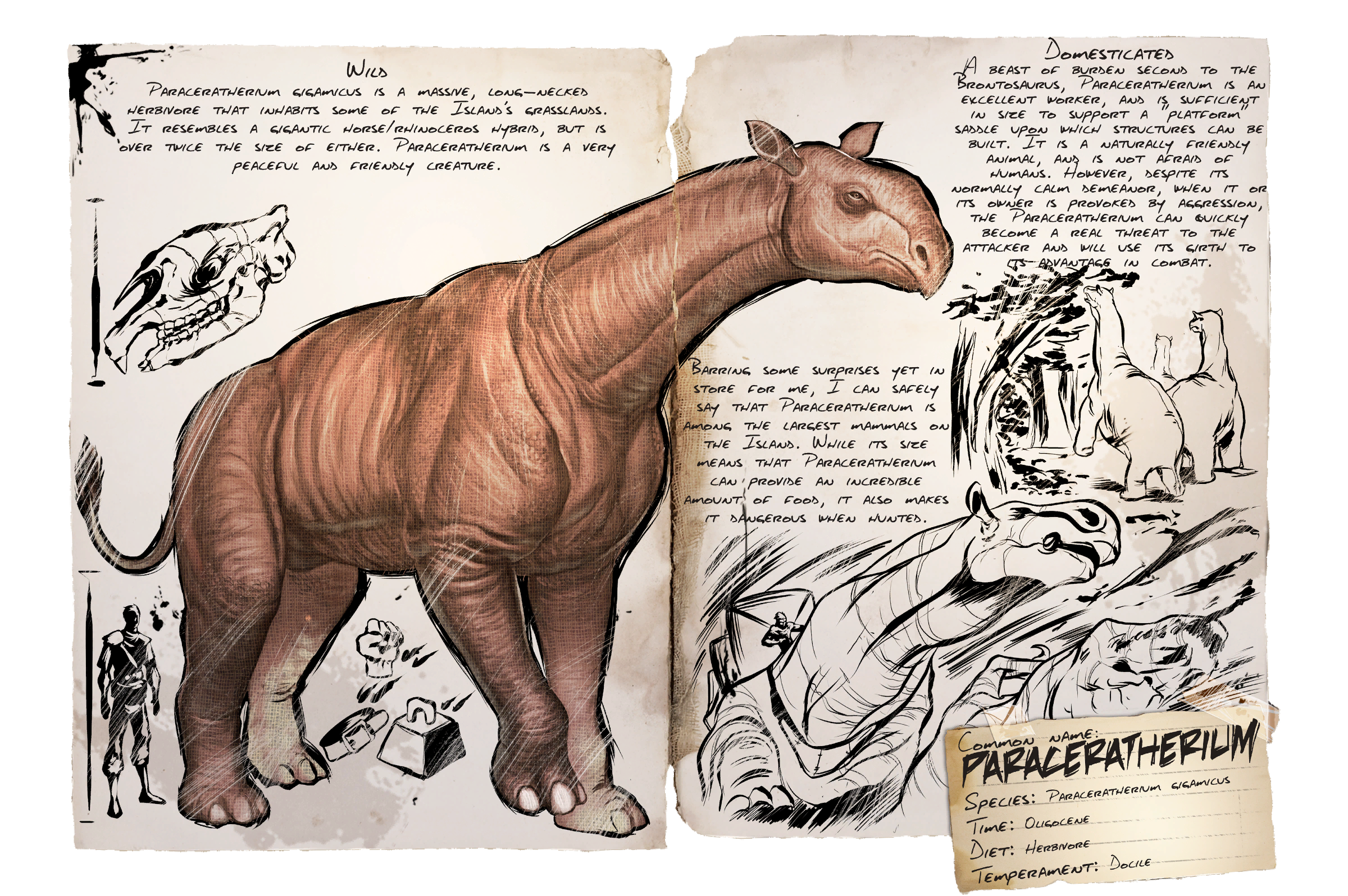 Paraceratherium Dossier