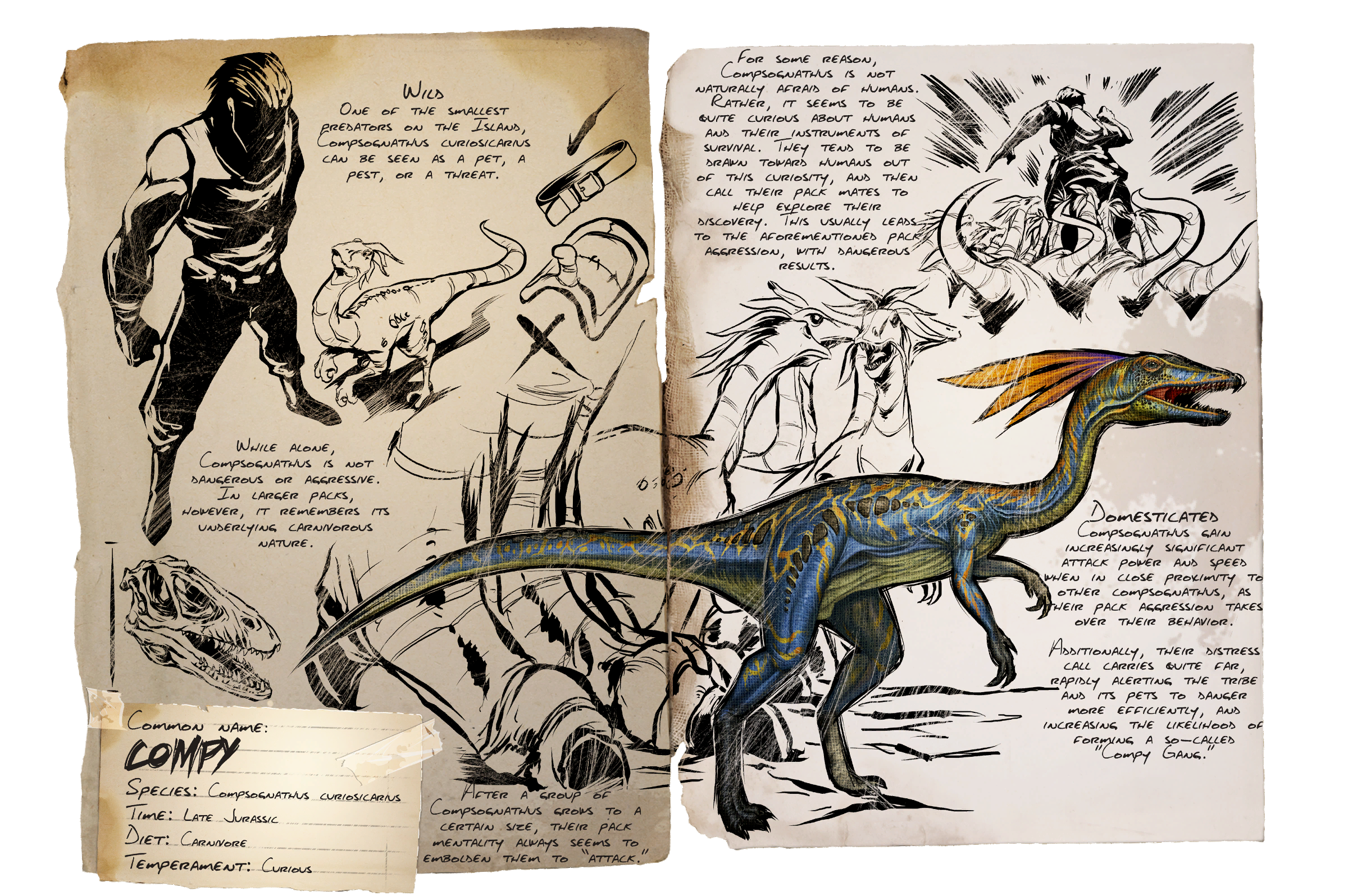Compy Dossier