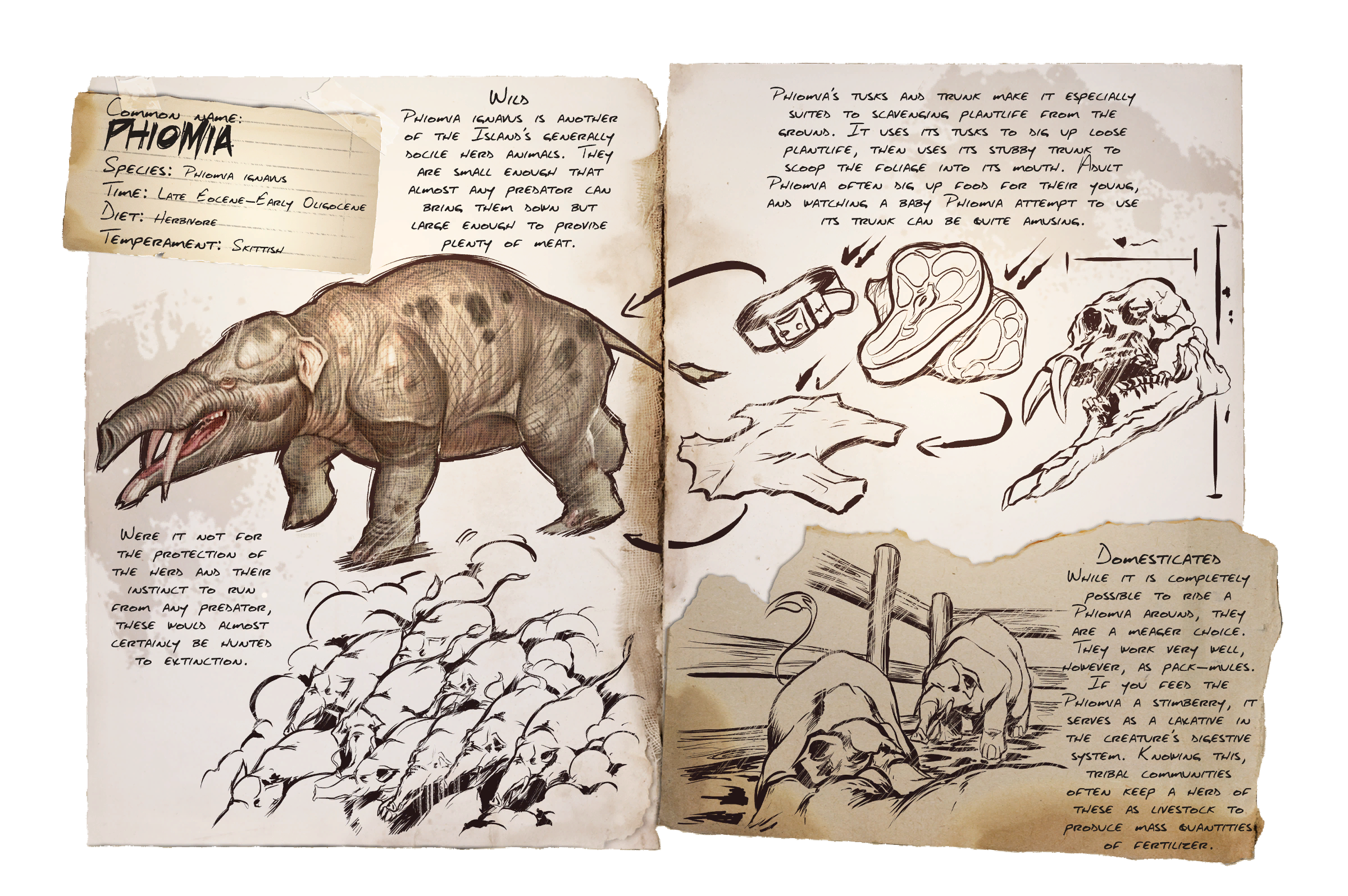 Phiomia Dossier
