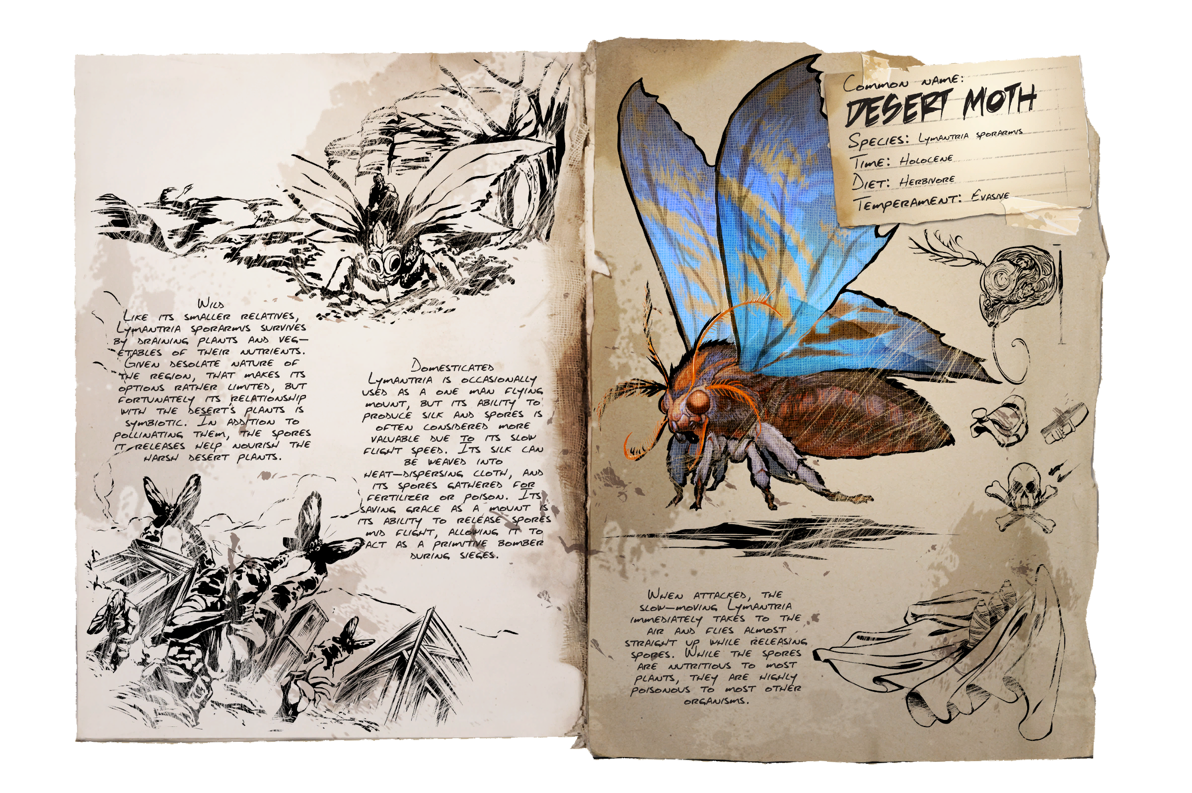 Moth Dossier