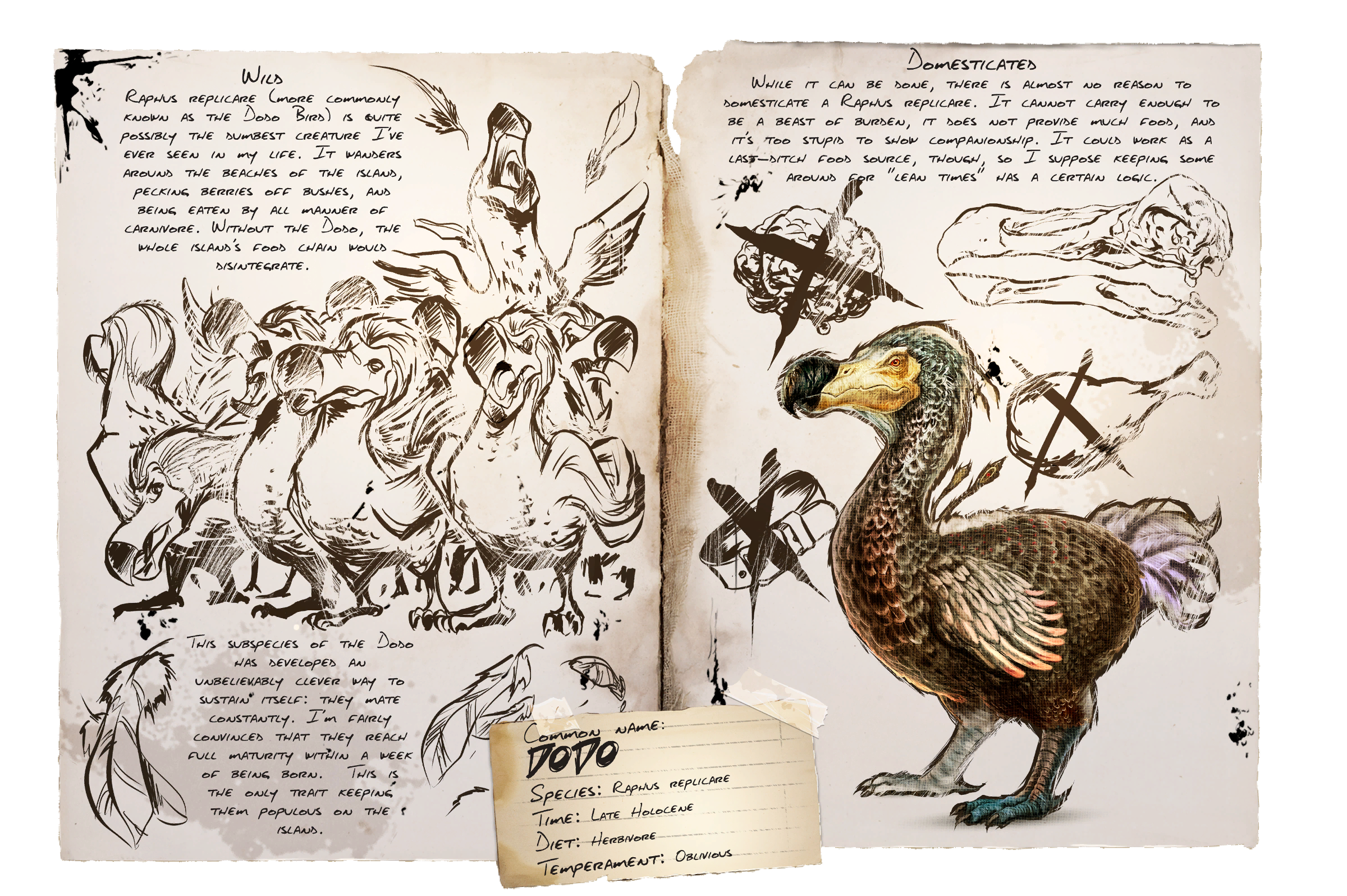Dodo Dossier