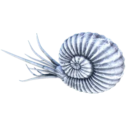 Аммонит
