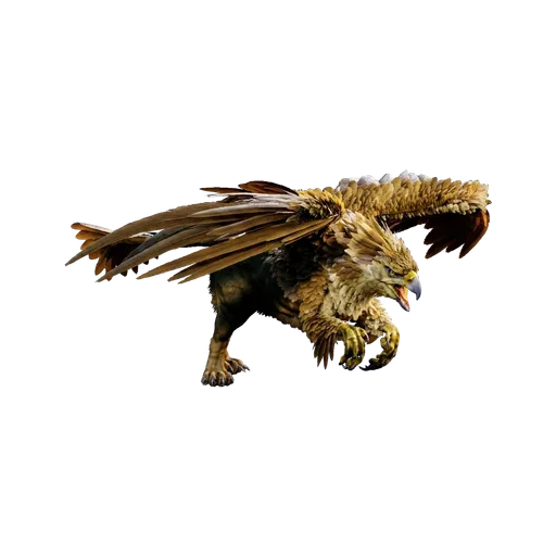 Griffin