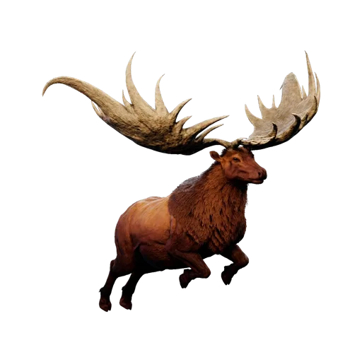 Brute Megaloceros