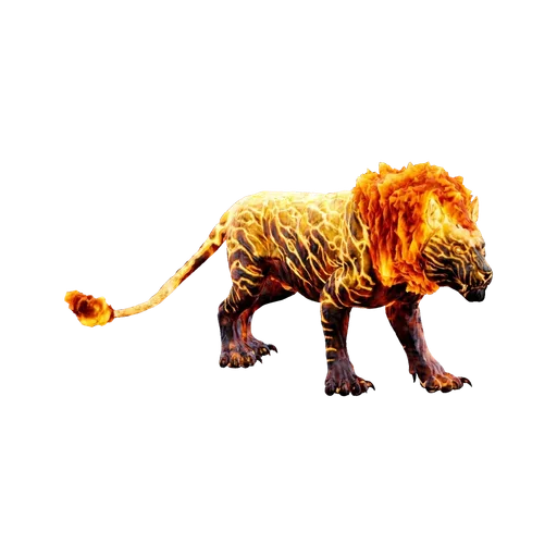 방화광