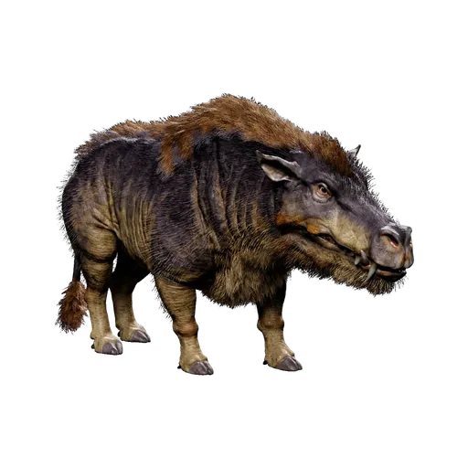 Daeodon