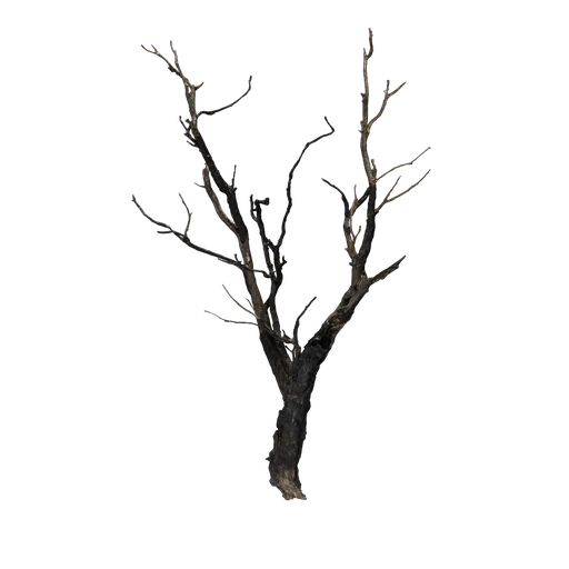 SM BurnedTree 01
