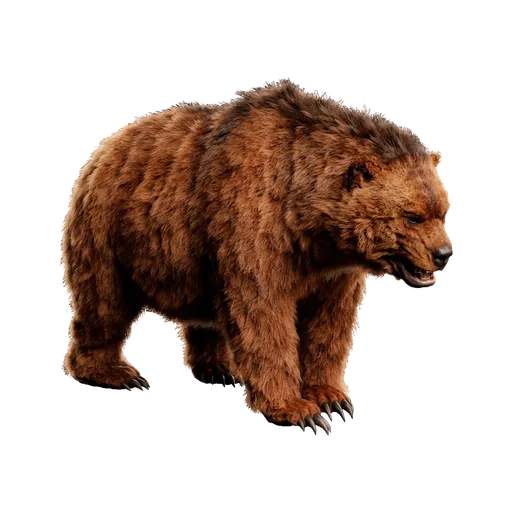 Dire Bear